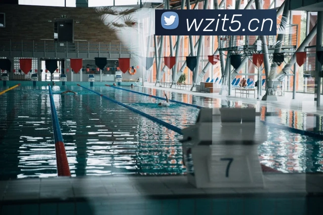 爱游戏体育最新官网平台生态图