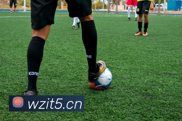 爱游戏体育最新官网全站App